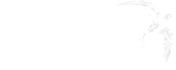 Swift Foundation Logo